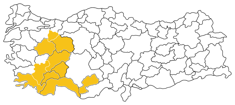 Tavion Group Dış Ticaret A.Ş.
