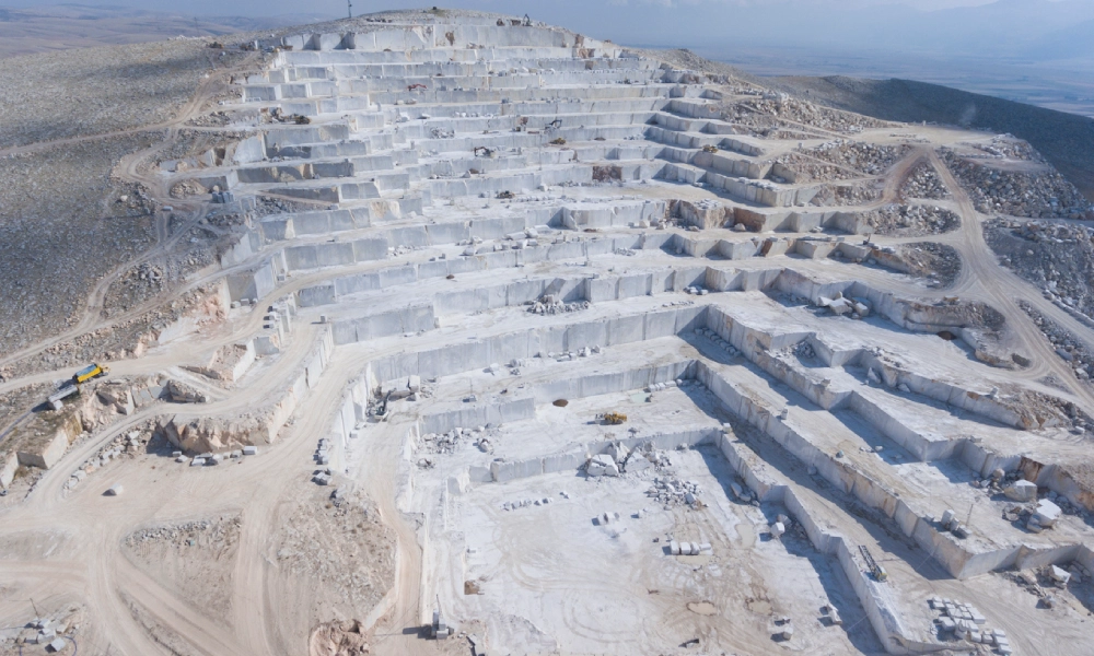 Tavion Group Dış Ticaret A.Ş.